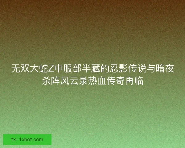 无双大蛇Z中服部半藏的忍影传说与暗夜杀阵风云录热血传奇再临